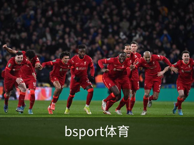 关于bsport体育